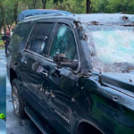 Transparenta titular de la SFP casa, joyas, salarios…