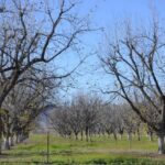 Avanza la creación de un totalitarismo en México: Jesús Ortega