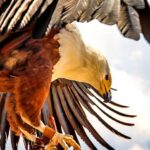 Sanciones más severas para delincuentes del transporte público.