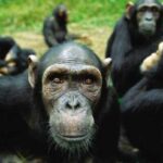 Delfina Gómez, secretaria de Educación aseguró que los salones pueden ser «el lugar más seguro» para los niños.