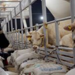 Tengo 5 años siendo acosada y amenazada de muerte por un alumno: Maestra de Nuevo León