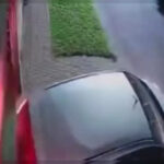 Linklater divierte con ‘Hit Man’: un crimen entre el espejismo de la identidad