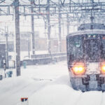 Instituto Mexicano de Derechos Humanos exige justicia por desaparición de buscadora Lorenza Cano, en Salamanca
