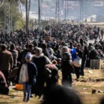 Migrantes pagan hasta 40 mil dólares por amparos para llegar a la frontera de México y EU