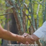 Afirmando su capacidad y experiencia, el PRI se presenta como la elección para guiar gobiernos exitosos y ofrecer dirección y certeza al país.