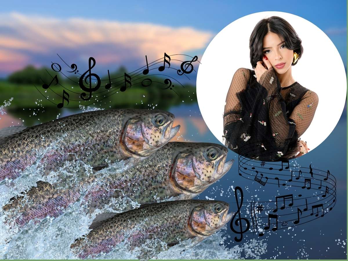 "El Secreto detrás de la Leyenda: Descubriendo a los Intérpretes que Hacen Vibrar el Clásico '¿Quién Canta los Peces en el Río?'".